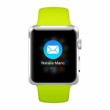 Steel Case Apple Watch