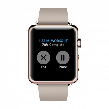 Steel Case Apple Watch