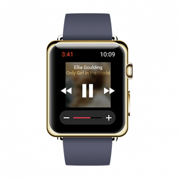 Steel Case Apple Watch