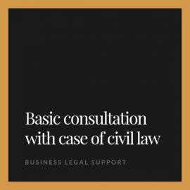 Basic consultation with case of civil law