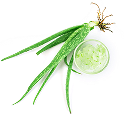 recipe-3