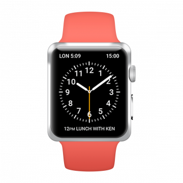 Apple Watch Steel Case