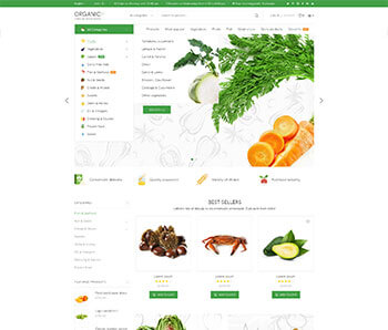 XStore WooCommerce theme - Organic01 demo